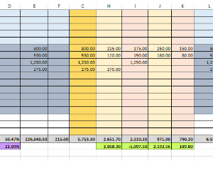 2021 Home Budget Spreadsheet